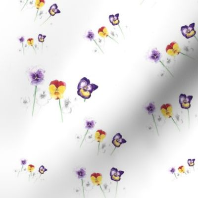 violets 4