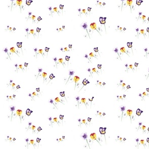 violets 4