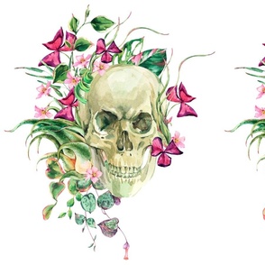 WAtercolor floral skull on white