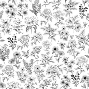 Black and White Floral Line Drawing - Small Print