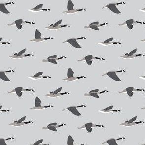 1" Canada Goose Black Gray