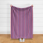 French Flag Colors Red, White and Blue 1 Inch Vertical Stripes