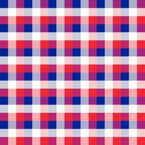 French Flag Colors Red, White and Blue 1 Inch Gingham Check