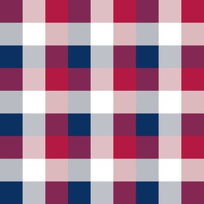 USA Red, White and Blue Large 2 Inch Gingham Check