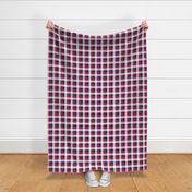 USA Red, White and Blue Large 1 Inch Gingham Check