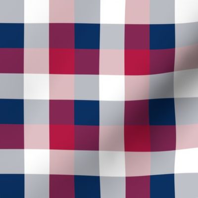 USA Red, White and Blue Large 1 Inch Gingham Check