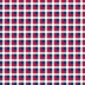 USA Red, White and Blue Large 1/2 Inch Gingham Check