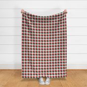 Mexican Flag Colors Red, White and Green 1  Inch Gingham Check