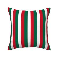 Mexican Flag Colors Red, White and Green 1  Inch Vertical Stripes