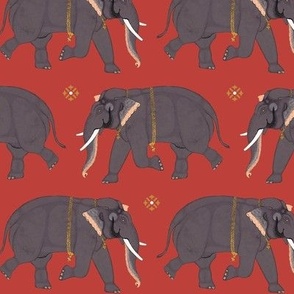 Elephants - Small - Orange Red