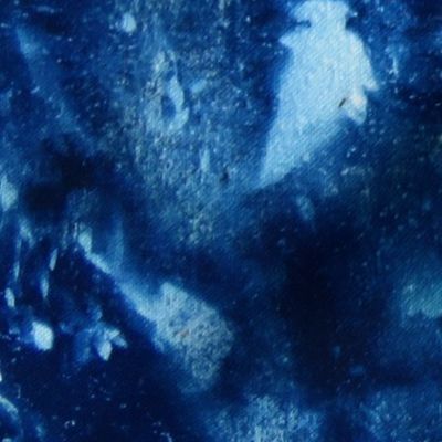 Cyanotype Nature Printing (closeup)