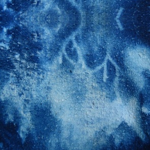 Cyanotype Nature Printing (closeup)