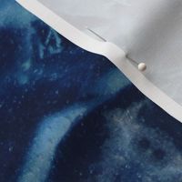 Cyanotype Nature Printing (closeup)