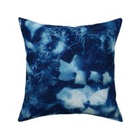 Cyanotype Nature Printing (closeup)