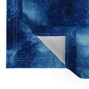 Cyanotype Nature Printing (closeup)