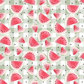 Watermelon//Pink Gingham (1 Inch)