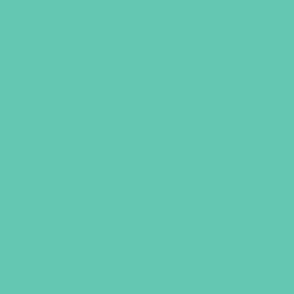 medium turquoise solid