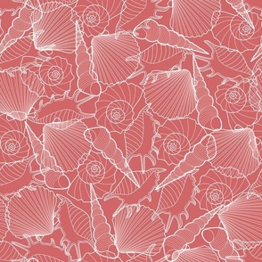 Shells summer // Normal Scale //  Coral Background // Ocean Life // Underwater Life // Cotton // Summer Time