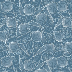 Shells summer // Normal Scale // Blue Background // Ocean Life // Underwater Life // Cotton // Summer Time