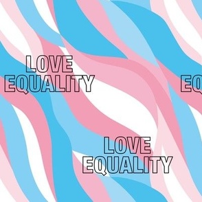 Love Equality - transgender equality support straight against hate love is love pink blue