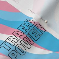 Trans Power - transgender equality support straight against hate love is love pink blue pattern design