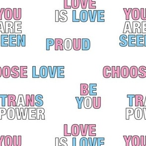 Trans quotes for support - transgender equality support straight against hate love is love pink blue  