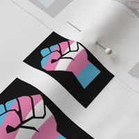 Fight for trans rights - transgender equality support straight against hate love is love pink blue  black