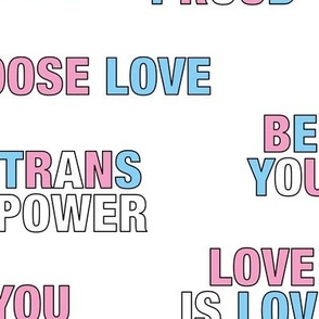 Trans quotes for support - transgender equality support straight against hate love is love pink blue  LARGE