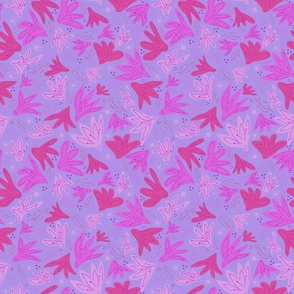Pink Purple Agapanthus