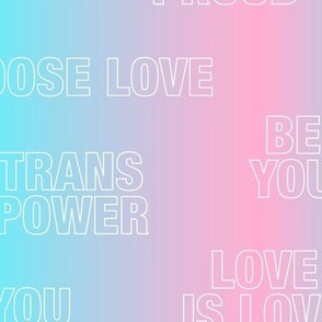 Trans quotes for support - transgender equality support straight against hate love is love pink blue gradient  LARGE