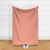 Reverse Tonal Color Sunset Coral Solid