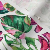 Watercolor greenery tropical leaves on white