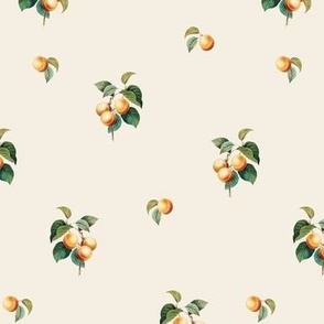Apricots on Crema // small
