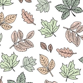 Autumn leaves - lush oak chestnut birch and maple leaf fall garden in soft sage green beige on white
