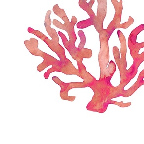 Magenta Pink Coral LARGER FORMAT perfect for bedding!