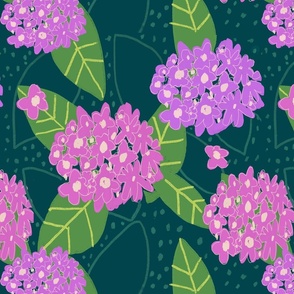 Hortensia_6.22_handdrawn_green