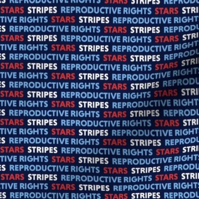 Stars Stripes Reproductive Rights Small