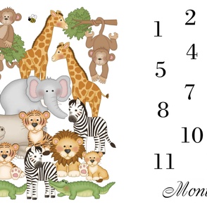 Safari Animals Milestone Baby Blanket 