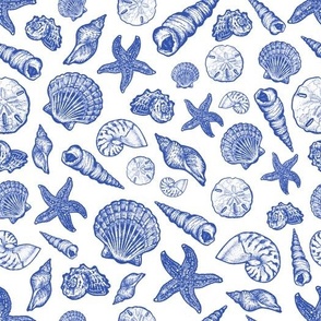Blue Seashell Print (Large)