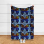 Circus Butterfly in Blue (large scale design)