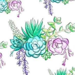 Watercolor Succulents Repeating Design 
