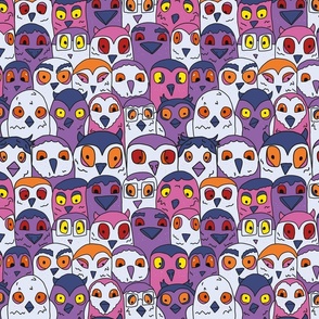 purple pink Aussie Owls
