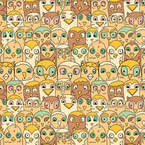yellow brown Aussie Owls