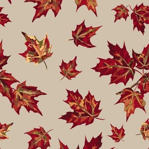Falling Maple Leaves - Bone
