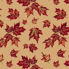 Falling Maple Leaves - Pie Crust