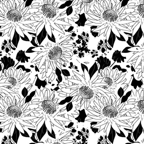 Vintage Garden Protea - White On Black.