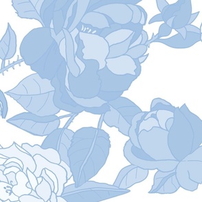 -faded blue Rose Garden