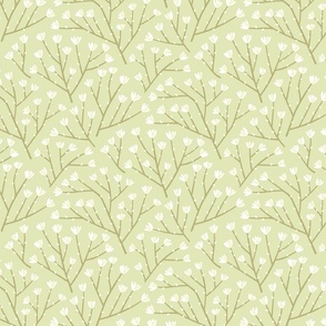 Flowering branches on a light green background
