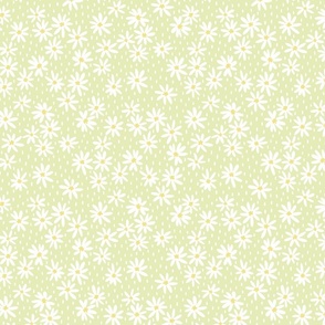 White chamomile on a light green background -small
