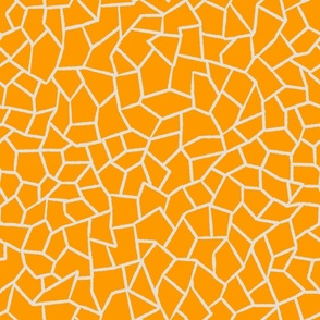 Mosaic Tiles Orange Fluo
